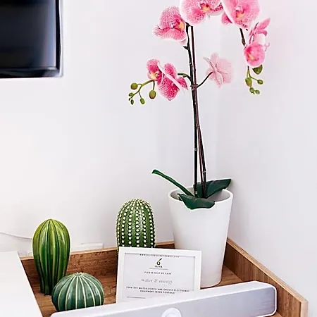 Oliva Homes Hotel 4*